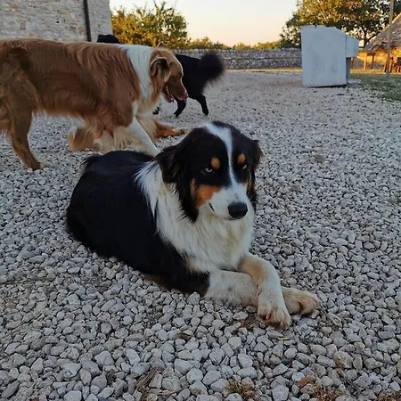 Tenuta Tedone Consolini Ruvo di Puglia
