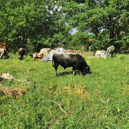 Lantgård Tenuta Tedone Consolini