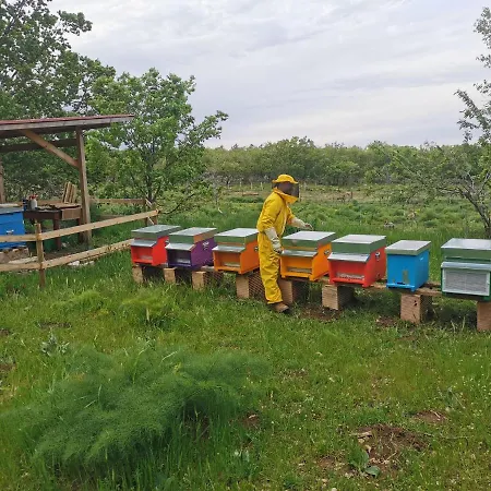 Lantgård Tenuta Tedone Consolini *