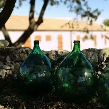 Tenuta Tedone Consolini * Ruvo di Puglia