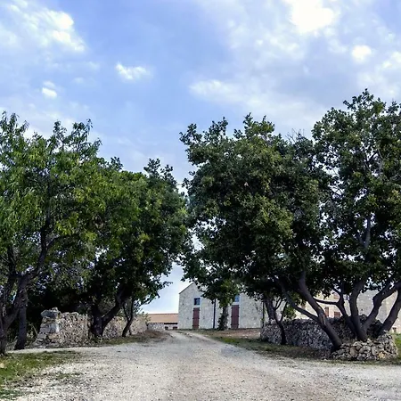 Tenuta Tedone Consolini Bauernhof