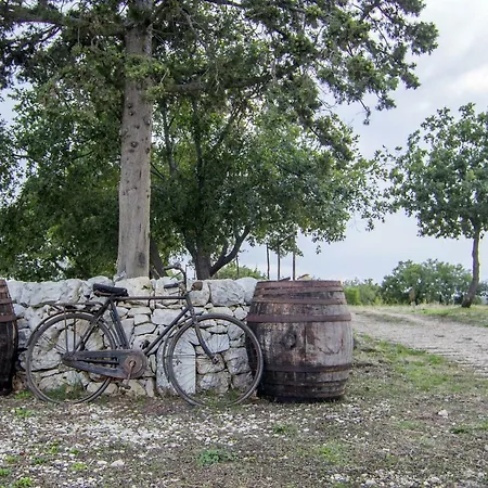 Tenuta Tedone Consolini Lantgård Ruvo di Puglia