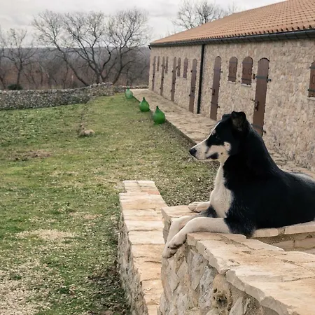 Tenuta Tedone Consolini Bauernhof *