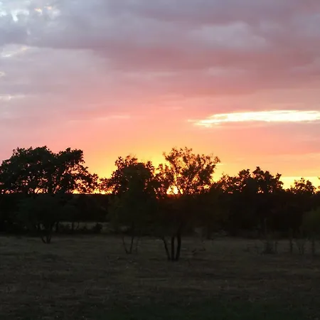 Tenuta Tedone Consolini Lantgård *