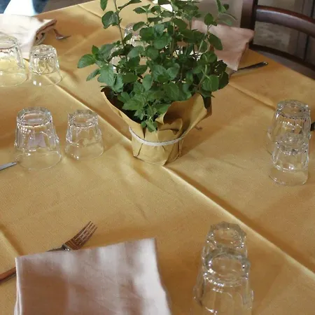 Tenuta Tedone Consolini Lantgård Ruvo di Puglia