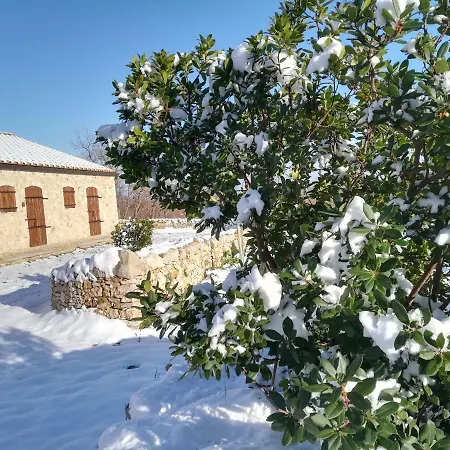 Tenuta Tedone Consolini *