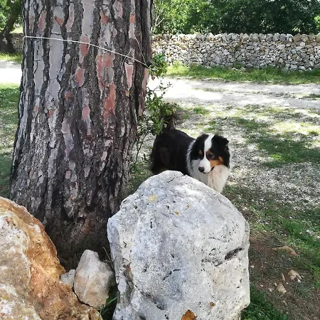 Tenuta Tedone Consolini Bauernhof *