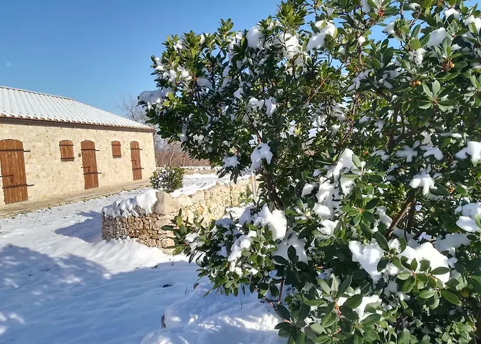 Tenuta Tedone Consolini *