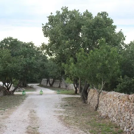 Tenuta Tedone Consolini