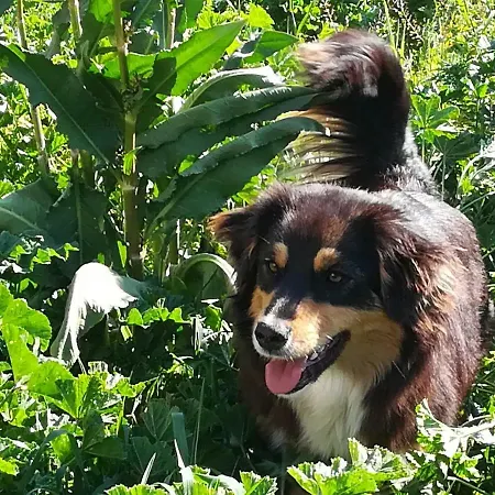 Bauernhof Tenuta Tedone Consolini Ruvo di Puglia
