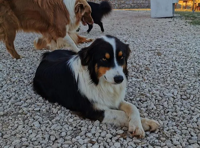 Tenuta Tedone Consolini Ruvo di Puglia
