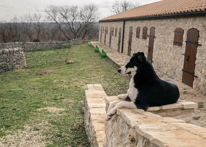 Tenuta Tedone Consolini Séjour à la ferme *