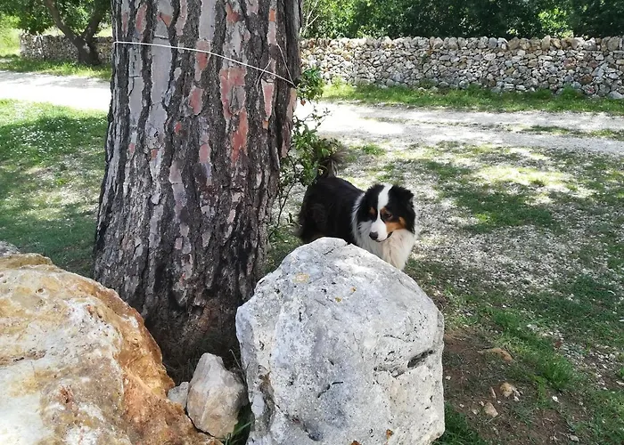 Tenuta Tedone Consolini Séjour à la ferme *